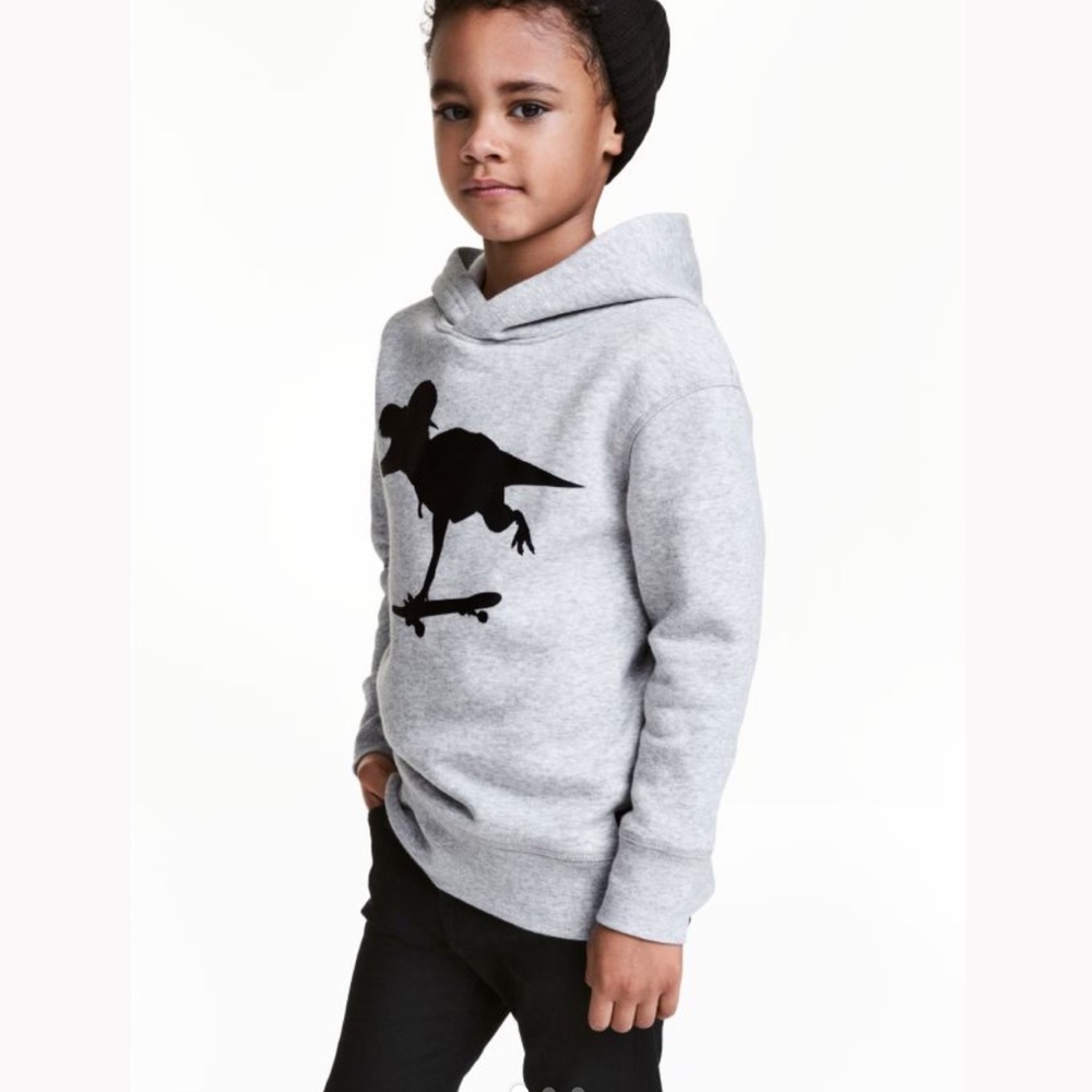 H&M Dinosaur Hoodie Boys 4-6Y 4 5 6 Boy Sweatshirt Neutral Gray Long Sleeve Top